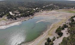 1 yılda 100 bin metreküp su kaybeden Musaözü Barajı kuraklıkla boğuşuyor