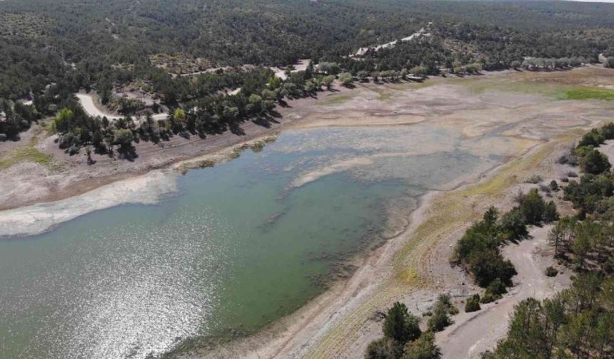 1 yılda 100 bin metreküp su kaybeden Musaözü Barajı kuraklıkla boğuşuyor